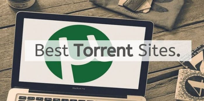 Best Torrent Site for Books