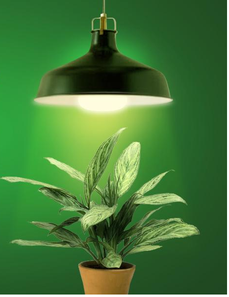 LED plant grow lights