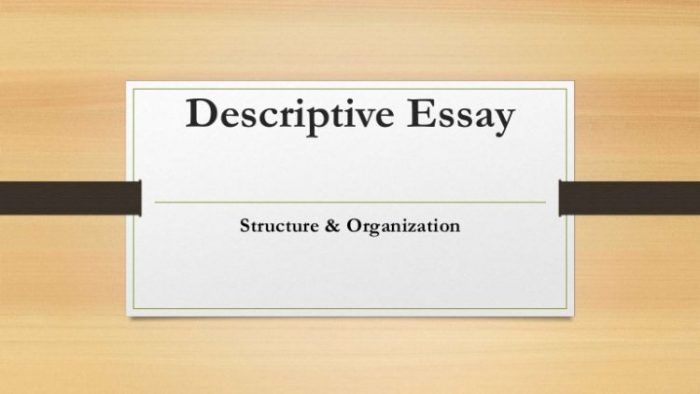 Writing a Descriptive Essay