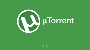 Importance of Using Torrents