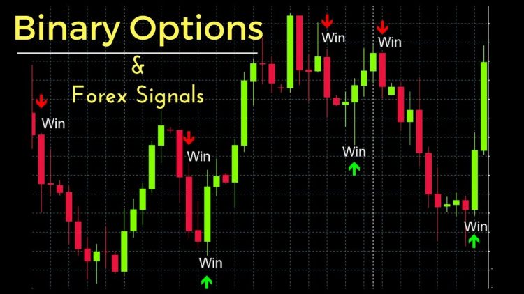 The Importance Of Binary Options Signals
