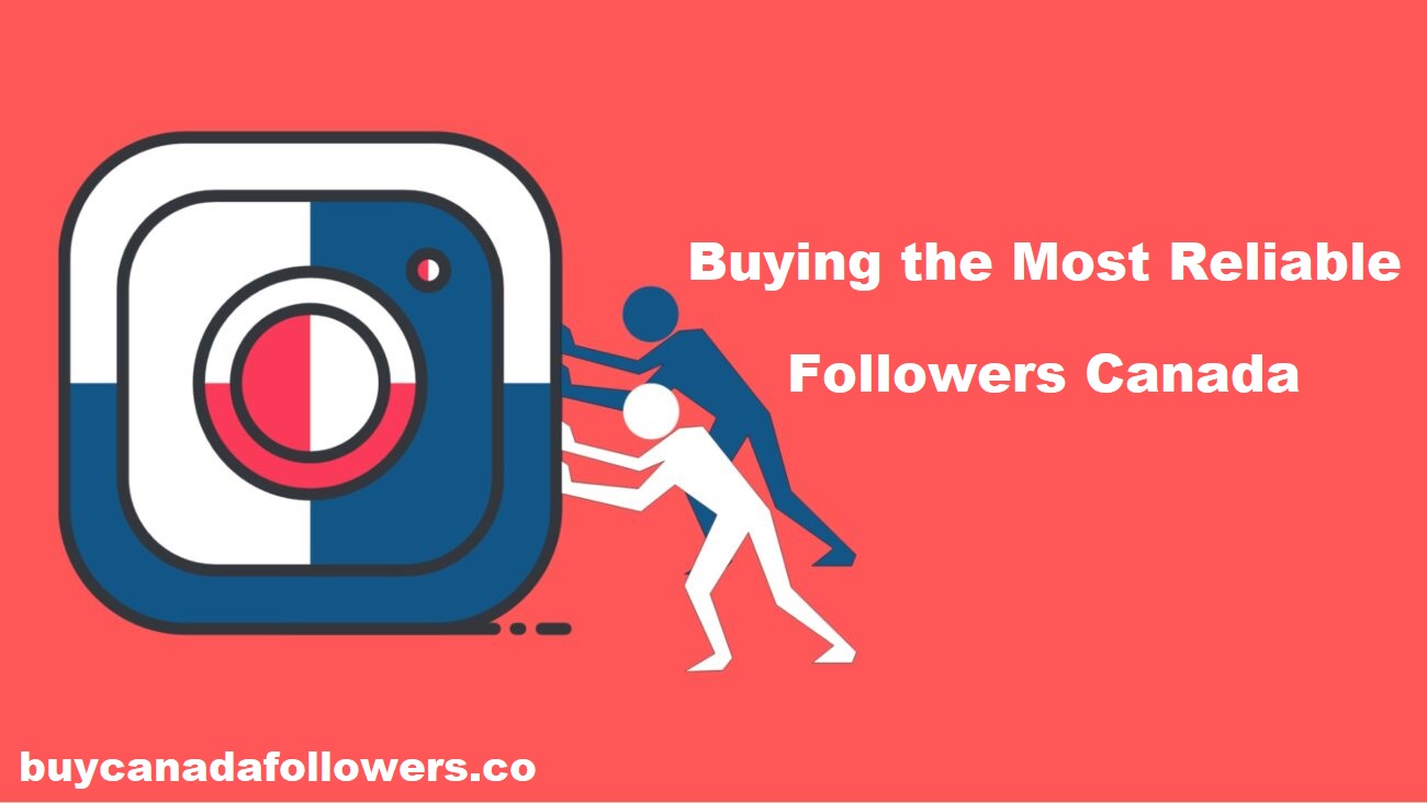 Buying the Most Reliable Followers