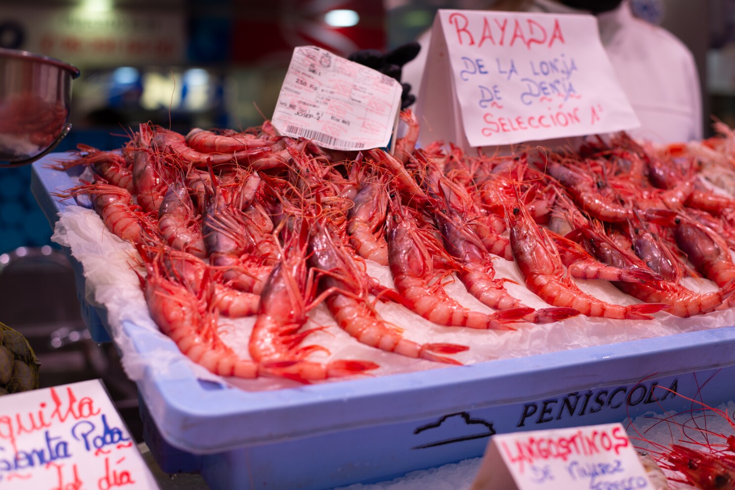 Prawn vs Shrimp: Which Seafood Delight is Right for You