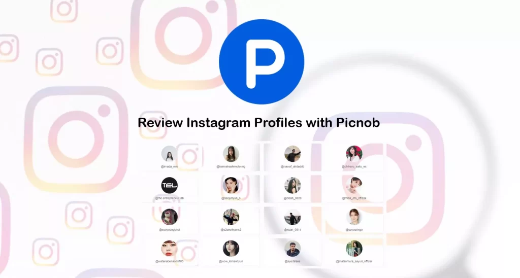 Picnob: The ultimate Instagram viewer