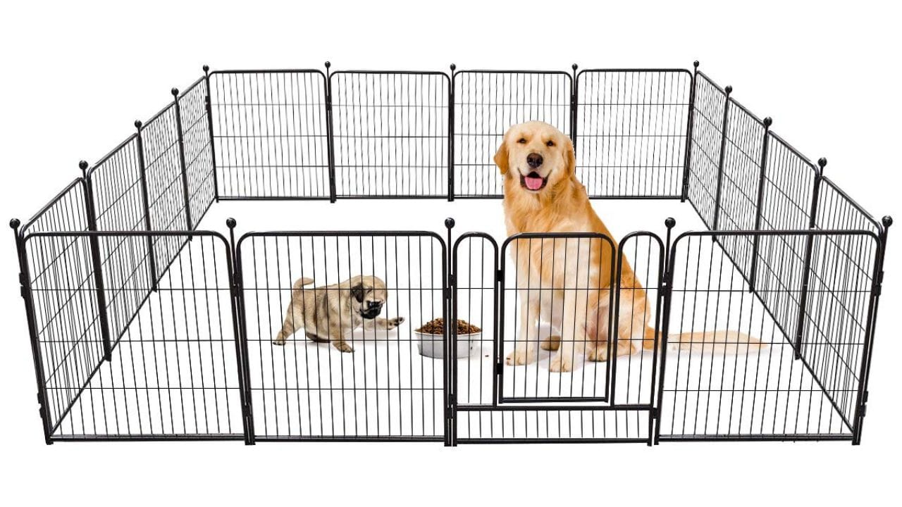 Portable Dog Fences