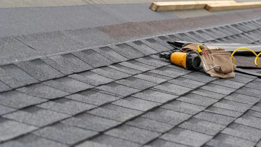 Roof Shingle