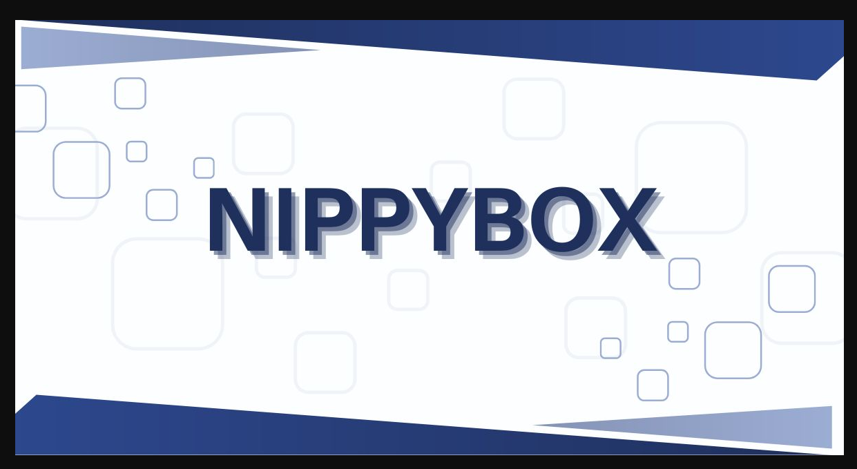 Nippybox: How Can You Save Your Files Without Any Fuss?