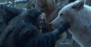 "From Game of Thrones to Reality: How Dire Wolves Captured Hollywood's Heart"