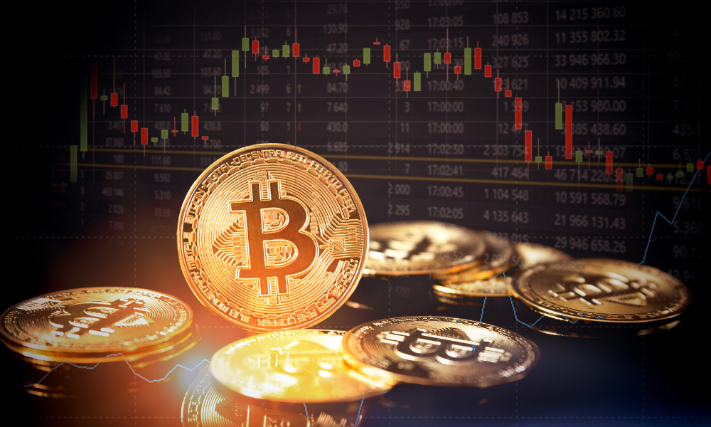 Crypto30x.com Catfish: Don’t Be Fooled by the Hype