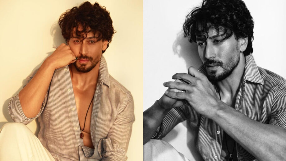 Tiger Shroff Upcoming Movie: What’s Next for the Action Star?
